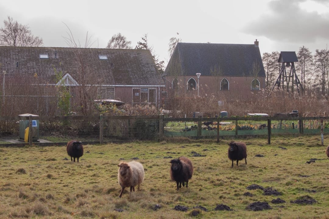 Webshop laten maken in Geldermalsen - professionele e-commerce ontwikkeling voor bedrijven in Geldermalsen, West Betuwe
