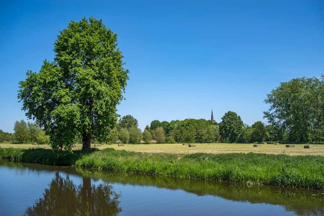 Webshop laten maken in Hellouw - professionele e-commerce ontwikkeling voor bedrijven in Hellouw, West Betuwe